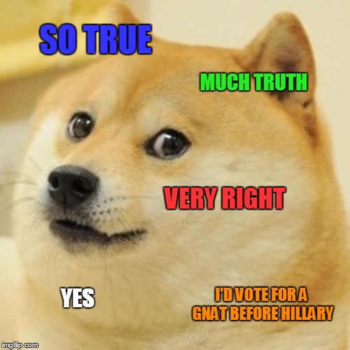 Doge Meme | SO TRUE MUCH TRUTH VERY RIGHT YES I'D VOTE FOR A GNAT BEFORE HILLARY | image tagged in memes,doge | made w/ Imgflip meme maker