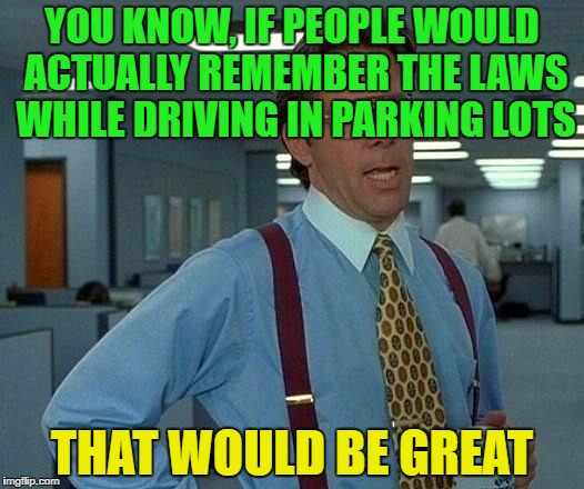 It's as if you enter a small circle of anarchy whenever you try to pull out of a grocery store | YOU KNOW, IF PEOPLE WOULD ACTUALLY REMEMBER THE LAWS WHILE DRIVING IN PARKING LOTS; THAT WOULD BE GREAT | image tagged in memes,that would be great | made w/ Imgflip meme maker