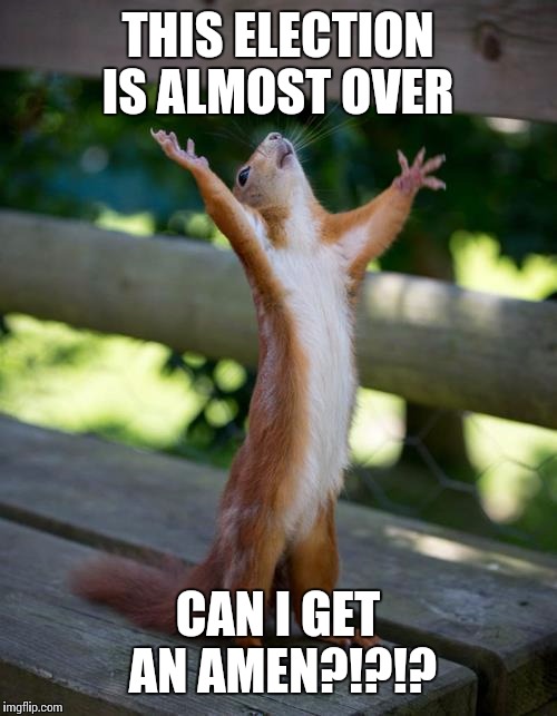 amen squirrel | THIS ELECTION IS ALMOST OVER; CAN I GET AN AMEN?!?!? | image tagged in amen squirrel | made w/ Imgflip meme maker