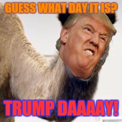 Trump Daaaaaaay! | GUESS WHAT DAY IT IS? TRUMP DAAAAY! | image tagged in hump day,donald trump | made w/ Imgflip meme maker