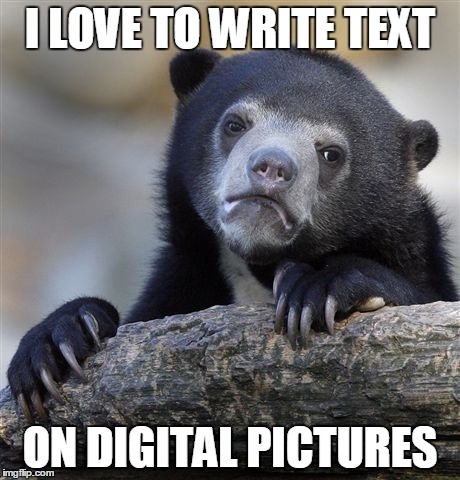 Confession Bear | I LOVE TO WRITE TEXT; ON DIGITAL PICTURES | image tagged in memes,confession bear | made w/ Imgflip meme maker