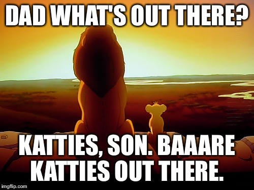 Lion King | DAD WHAT'S OUT THERE? KATTIES, SON. BAAARE KATTIES OUT THERE. | image tagged in memes,lion king | made w/ Imgflip meme maker