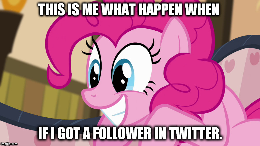 THIS IS ME WHAT HAPPEN WHEN; IF I GOT A FOLLOWER IN TWITTER. | image tagged in mlp,pinkie pie,twitter | made w/ Imgflip meme maker