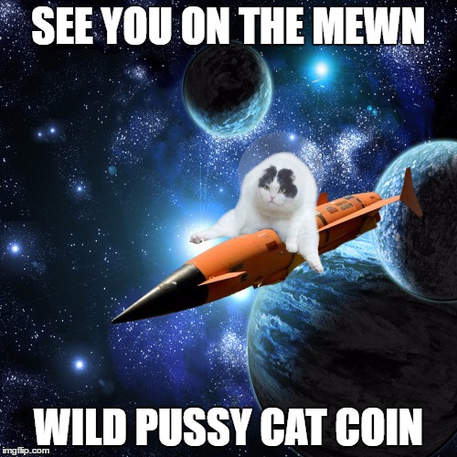 SEE YOU ON THE MEWN; WILD PUSSY CAT COIN | made w/ Imgflip meme maker