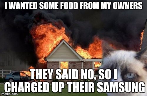 Burn Kitty | I WANTED SOME FOOD FROM MY OWNERS; THEY SAID NO, SO I CHARGED UP THEIR SAMSUNG | image tagged in memes,burn kitty | made w/ Imgflip meme maker