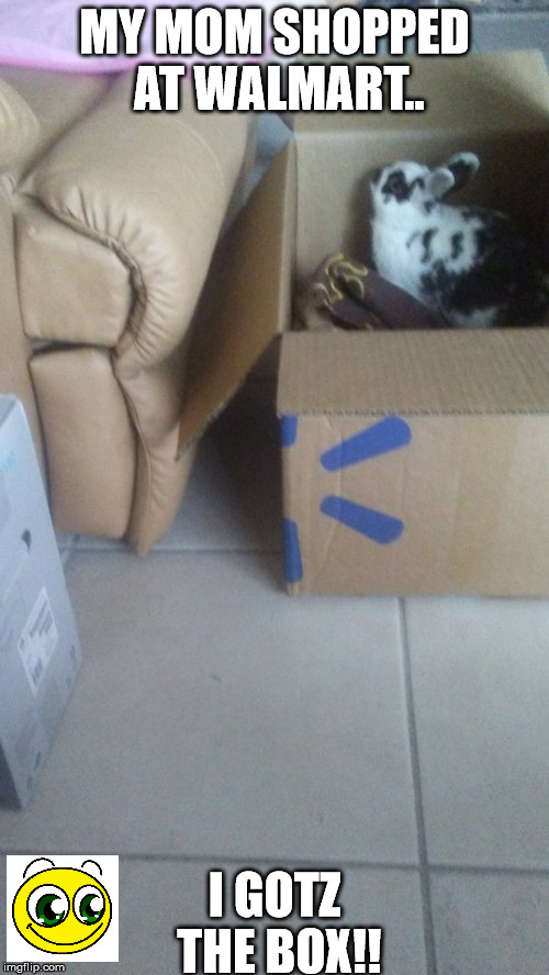 Box | MY MOM SHOPPED AT WALMART.. I GOTZ THE BOX!! | image tagged in memes | made w/ Imgflip meme maker