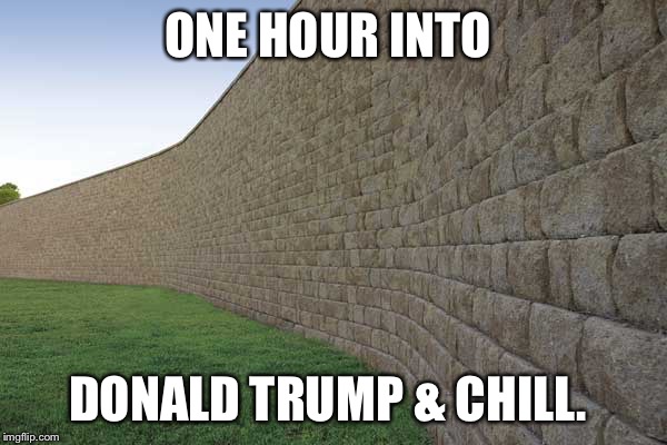 the great wall of mexico | ONE HOUR INTO; DONALD TRUMP & CHILL. | image tagged in the great wall of mexico | made w/ Imgflip meme maker