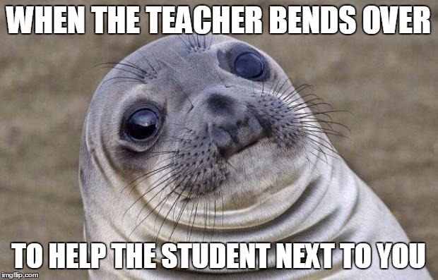 Awkward Moment Sealion Meme | WHEN THE TEACHER BENDS OVER; TO HELP THE STUDENT NEXT TO YOU | image tagged in memes,awkward moment sealion | made w/ Imgflip meme maker