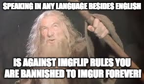 gandolf | SPEAKING IN ANY LANGUAGE BESIDES ENGLISH; IS AGAINST IMGFLIP RULES YOU ARE BANNISHED TO IMGUR FOREVER! | image tagged in gandolf | made w/ Imgflip meme maker
