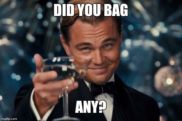 Leonardo Dicaprio Cheers Meme | DID YOU BAG ANY? | image tagged in memes,leonardo dicaprio cheers | made w/ Imgflip meme maker