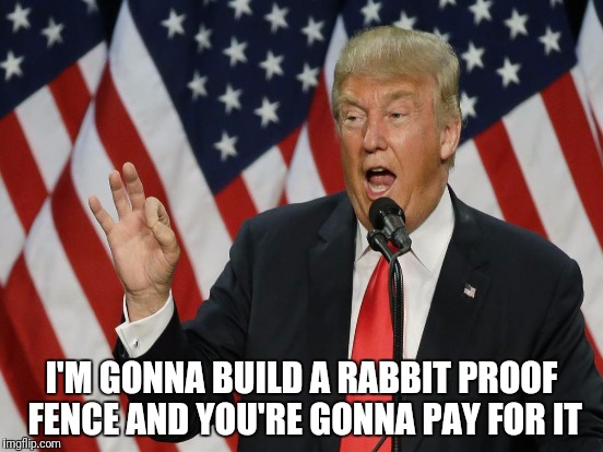 I'M GONNA BUILD A RABBIT PROOF FENCE AND YOU'RE GONNA PAY FOR IT | made w/ Imgflip meme maker