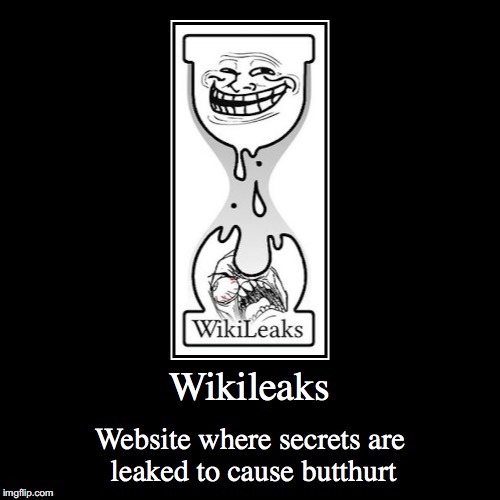 Wikileaks | image tagged in funny,demotivationals,wikileaks | made w/ Imgflip demotivational maker