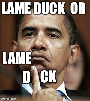 Barack Obama | LAME DUCK  OR; LAME; CK; D | image tagged in barack obama,funny memes,funny meme,political meme,hillary clinton,michelle obama | made w/ Imgflip meme maker