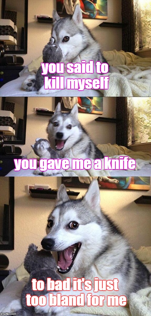 Bad Pun Dog Meme | you said to kill myself; you gave me a knife; to bad it's just too bland for me | image tagged in memes,bad pun dog | made w/ Imgflip meme maker