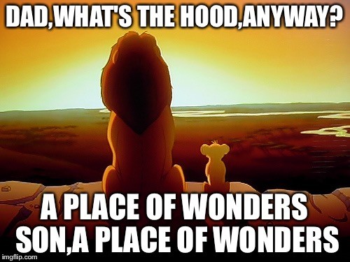 Lion King | DAD,WHAT'S THE HOOD,ANYWAY? A PLACE OF WONDERS SON,A PLACE OF WONDERS | image tagged in memes,lion king | made w/ Imgflip meme maker