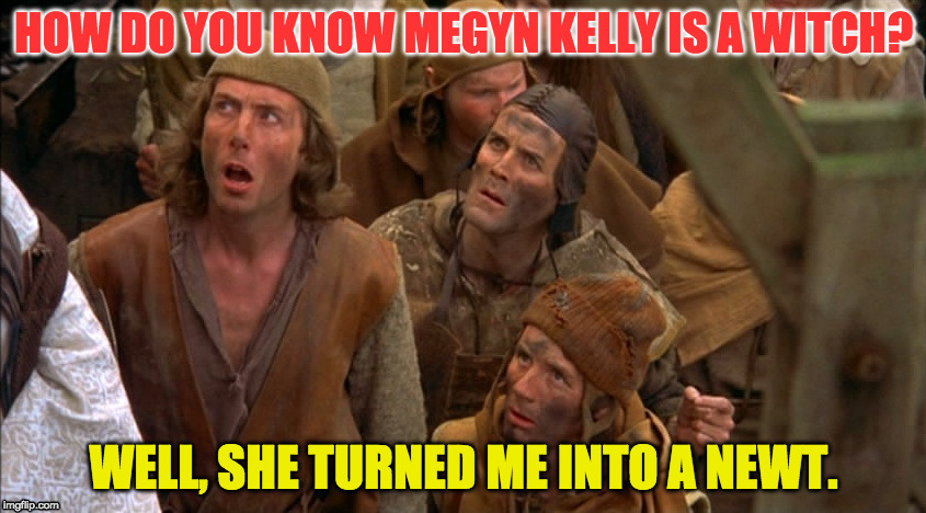She Turned Me Into a Newt | HOW DO YOU KNOW MEGYN KELLY IS A WITCH? WELL, SHE TURNED ME INTO A NEWT. | image tagged in megyn kelly | made w/ Imgflip meme maker