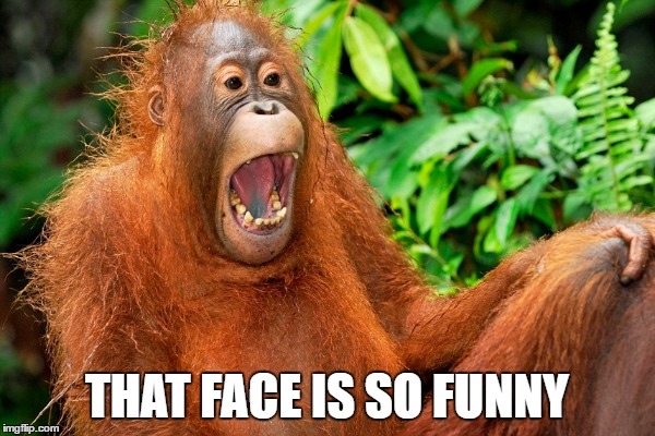 THAT FACE IS SO FUNNY | made w/ Imgflip meme maker