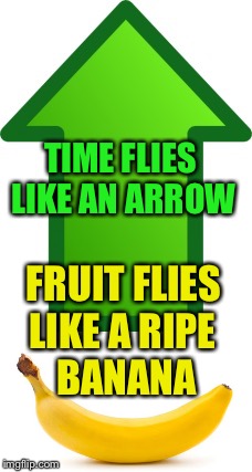 Punny Analogy | TIME FLIES LIKE AN ARROW; FRUIT FLIES; LIKE A RIPE BANANA | image tagged in arrow,meme,banana | made w/ Imgflip meme maker