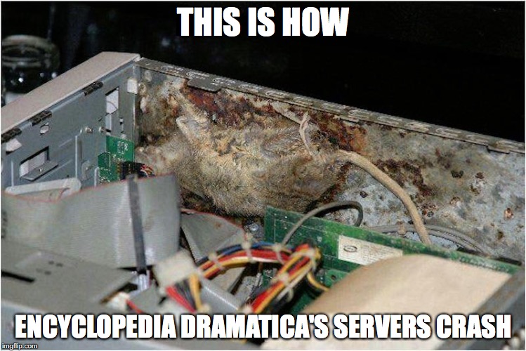Rat in Computer | THIS IS HOW; ENCYCLOPEDIA DRAMATICA'S SERVERS CRASH | image tagged in rat,computer,encyclopedia dramatica,memes | made w/ Imgflip meme maker