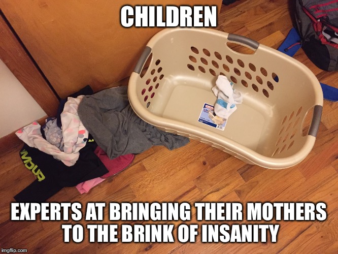 CHILDREN; EXPERTS AT BRINGING THEIR MOTHERS TO THE BRINK OF INSANITY | image tagged in chores,child logic,respect for moms | made w/ Imgflip meme maker