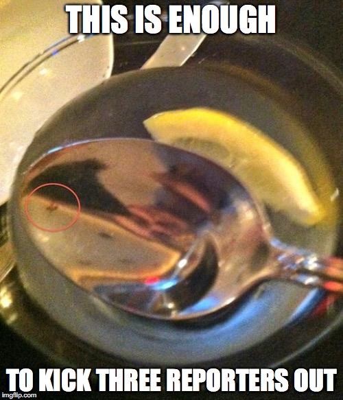 Fruit Flies in the Champagne | THIS IS ENOUGH; TO KICK THREE REPORTERS OUT | image tagged in amy's baking company,memes | made w/ Imgflip meme maker