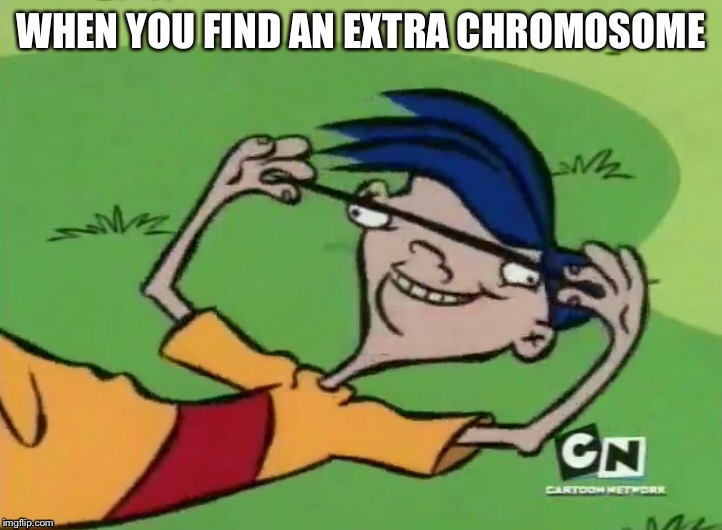 When the son of a shepard finds an extra chromosome... | WHEN YOU FIND AN EXTRA CHROMOSOME | image tagged in ed edd and eddy,funny | made w/ Imgflip meme maker