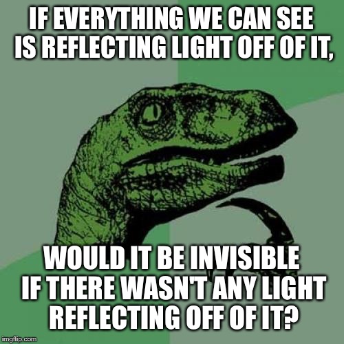 Did you ever think about it? | IF EVERYTHING WE CAN SEE IS REFLECTING LIGHT OFF OF IT, WOULD IT BE INVISIBLE IF THERE WASN'T ANY LIGHT REFLECTING OFF OF IT? | image tagged in memes,philosoraptor | made w/ Imgflip meme maker