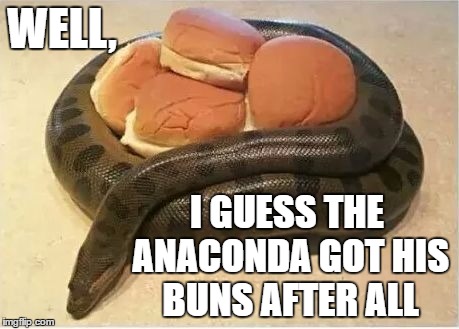 anaconda song