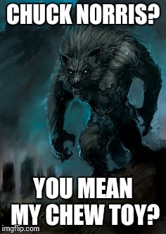 werewolf | CHUCK NORRIS? YOU MEAN MY CHEW TOY? | image tagged in werewolf | made w/ Imgflip meme maker