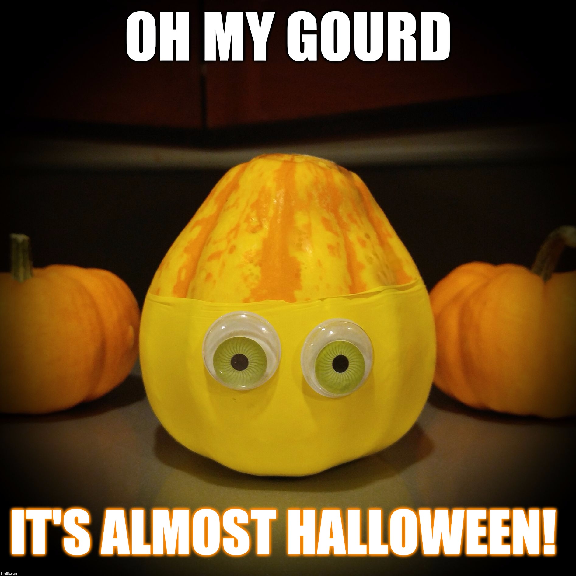 Oh my GOURD, it's almost Halloween!  |  OH MY GOURD; IT'S ALMOST HALLOWEEN! | image tagged in oh my gourd,halloween,funny,autumn,gourd,memes | made w/ Imgflip meme maker