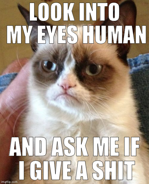 Grumpy Cat Meme | LOOK INTO MY EYES HUMAN; AND ASK ME IF I GIVE A SHIT | image tagged in memes,grumpy cat | made w/ Imgflip meme maker