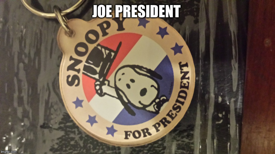 Don't know who to vote for? Vote this guy instead! | JOE PRESIDENT | image tagged in memes | made w/ Imgflip meme maker