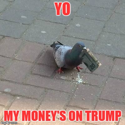 yo | YO; MY MONEY'S ON TRUMP | image tagged in donald trump | made w/ Imgflip meme maker