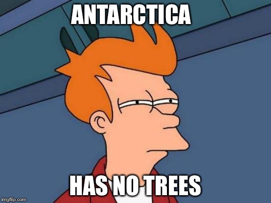 Futurama Fry Meme | ANTARCTICA HAS NO TREES | image tagged in memes,futurama fry | made w/ Imgflip meme maker