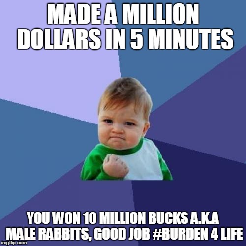 Success Kid | MADE A MILLION DOLLARS IN 5 MINUTES; YOU WON 10 MILLION BUCKS A.K.A MALE RABBITS, GOOD JOB #BURDEN 4 LIFE | image tagged in memes,success kid | made w/ Imgflip meme maker