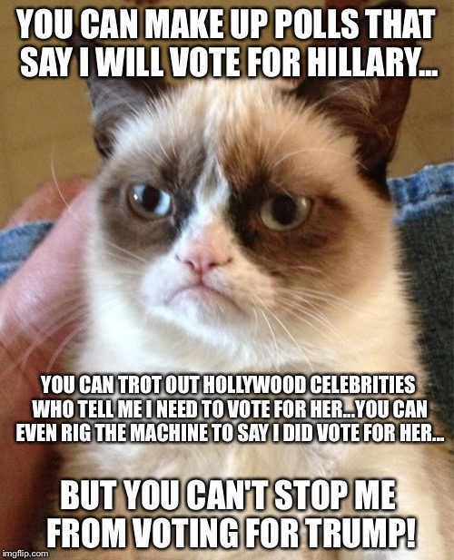 Dig your heels in | YOU CAN MAKE UP POLLS THAT SAY I WILL VOTE FOR HILLARY... YOU CAN TROT OUT HOLLYWOOD CELEBRITIES WHO TELL ME I NEED TO VOTE FOR HER...YOU CAN EVEN RIG THE MACHINE TO SAY I DID VOTE FOR HER... BUT YOU CAN'T STOP ME FROM VOTING FOR TRUMP! | image tagged in memes,grumpy cat,election 2016,hillary clinton,donald trump | made w/ Imgflip meme maker