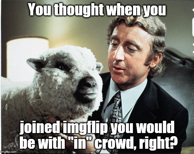 Baaa | You thought when you joined imgflip you would be with ''in'' crowd, right? | image tagged in baaa | made w/ Imgflip meme maker