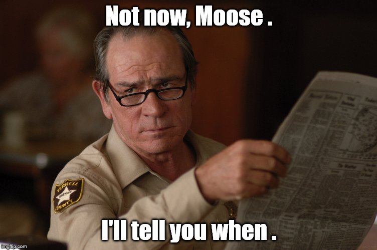 say what? | Not now, Moose . I'll tell you when . | image tagged in say what | made w/ Imgflip meme maker