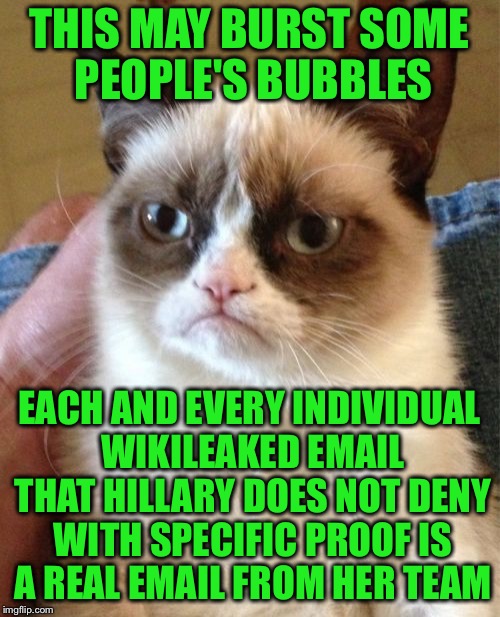 Grumpy Cat | THIS MAY BURST SOME PEOPLE'S BUBBLES; EACH AND EVERY INDIVIDUAL WIKILEAKED EMAIL THAT HILLARY DOES NOT DENY WITH SPECIFIC PROOF IS A REAL EMAIL FROM HER TEAM | image tagged in memes,grumpy cat | made w/ Imgflip meme maker