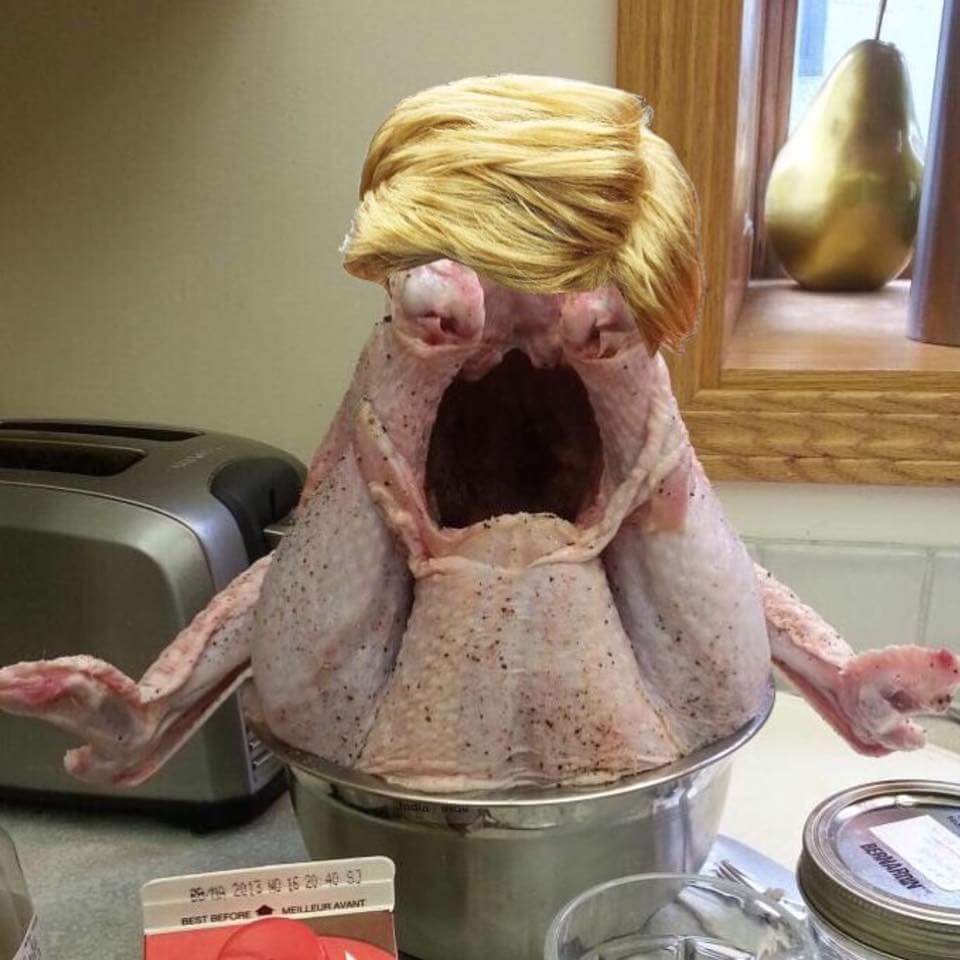High Quality Turkey Trump Blank Meme Template