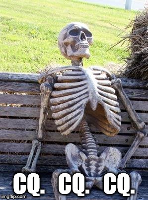 Waiting Skeleton Meme | CQ.   CQ.   CQ. | image tagged in memes,waiting skeleton | made w/ Imgflip meme maker