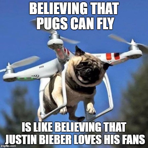 Flying Pug | BELIEVING THAT PUGS CAN FLY; IS LIKE BELIEVING THAT JUSTIN BIEBER LOVES HIS FANS | image tagged in flying pug | made w/ Imgflip meme maker