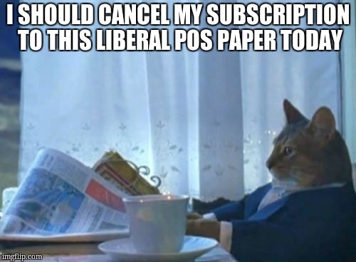 I Should Buy A Boat Cat | I SHOULD CANCEL MY SUBSCRIPTION TO THIS LIBERAL POS PAPER TODAY | image tagged in memes,i should buy a boat cat | made w/ Imgflip meme maker