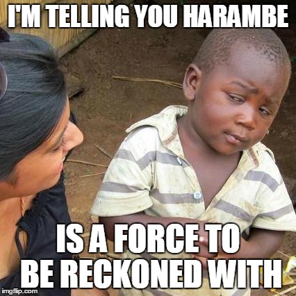 Third World Skeptical Kid Meme | I'M TELLING YOU HARAMBE; IS A FORCE TO BE RECKONED WITH | image tagged in memes,third world skeptical kid | made w/ Imgflip meme maker