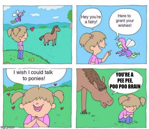 Talk to Ponies | YOU'RE A PEE PEE, POO POO BRAIN | image tagged in talk to ponies,pee pee poo poo brain,pony | made w/ Imgflip meme maker