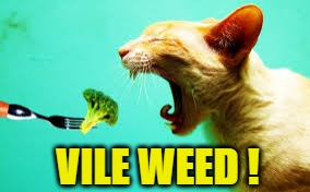 Hello Newman | VILE WEED ! | image tagged in memes,broccoli,weed,vile,seinfeld,newman | made w/ Imgflip meme maker