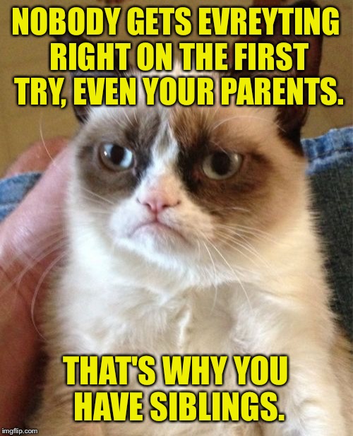 Grumpy Cat | NOBODY GETS EVREYTING RIGHT ON THE FIRST TRY, EVEN YOUR PARENTS. THAT'S WHY YOU HAVE SIBLINGS. | image tagged in memes,grumpy cat,parents,funny memes | made w/ Imgflip meme maker