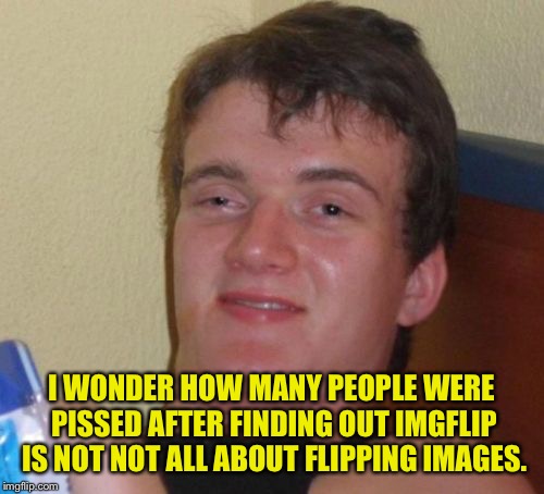 The flipping quality here is pretty low. | I WONDER HOW MANY PEOPLE WERE PISSED AFTER FINDING OUT IMGFLIP IS NOT NOT ALL ABOUT FLIPPING IMAGES. | image tagged in memes,10 guy,imgflip,image,funny memes | made w/ Imgflip meme maker
