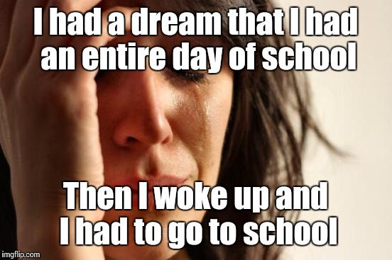 First World Problems Meme | I had a dream that I had an entire day of school Then I woke up and I had to go to school | image tagged in memes,first world problems | made w/ Imgflip meme maker
