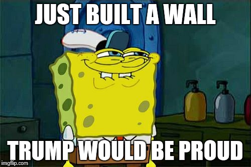 Don't You Squidward | JUST BUILT A WALL; TRUMP WOULD BE PROUD | image tagged in memes,dont you squidward | made w/ Imgflip meme maker